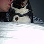Cristal participe au concours pour gagner de l'argent avec cette photo :