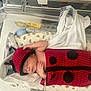 newborn, baby, hospital, bassinet, sleeping, crocheted_outfit, ladybug_costume, blanket, medical_equipment, infant, cute, resting, bed, hat, child, person, indoors, healthcare, tiny, adorable