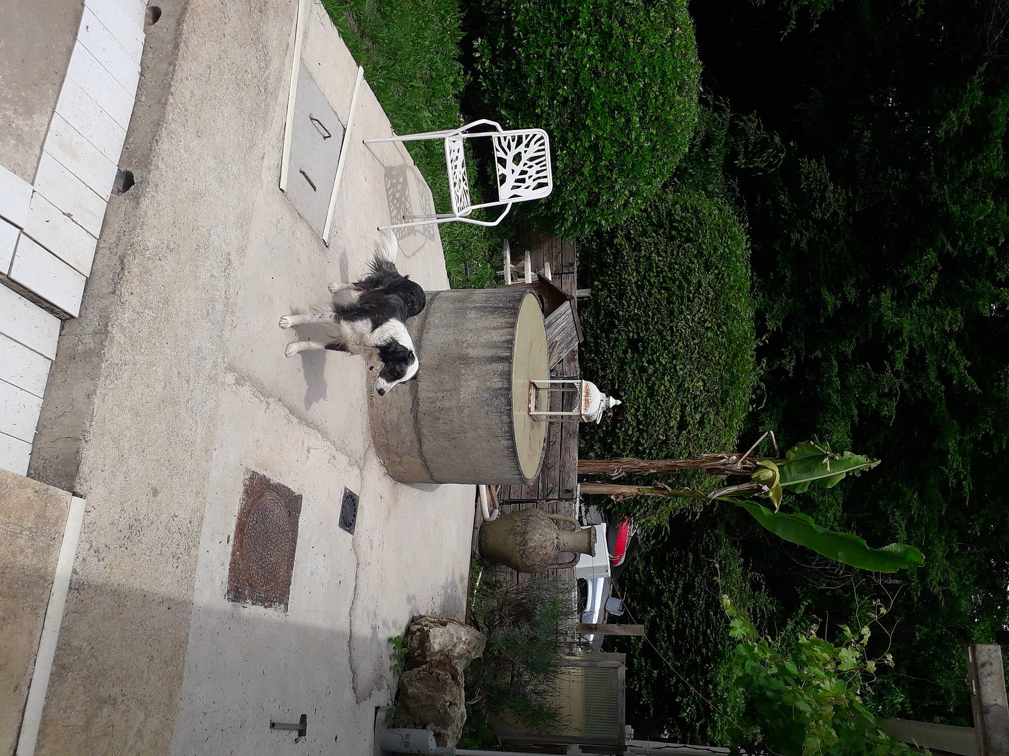 Caly participe au concours pour gagner de l'argent avec cette photo : art, building, city, concrete, facade, house, landscape, neighbourhood, plant, road, road_surface, sculpture, shadow, shrub, sidewalk, slope, street, tree, urban_design, window