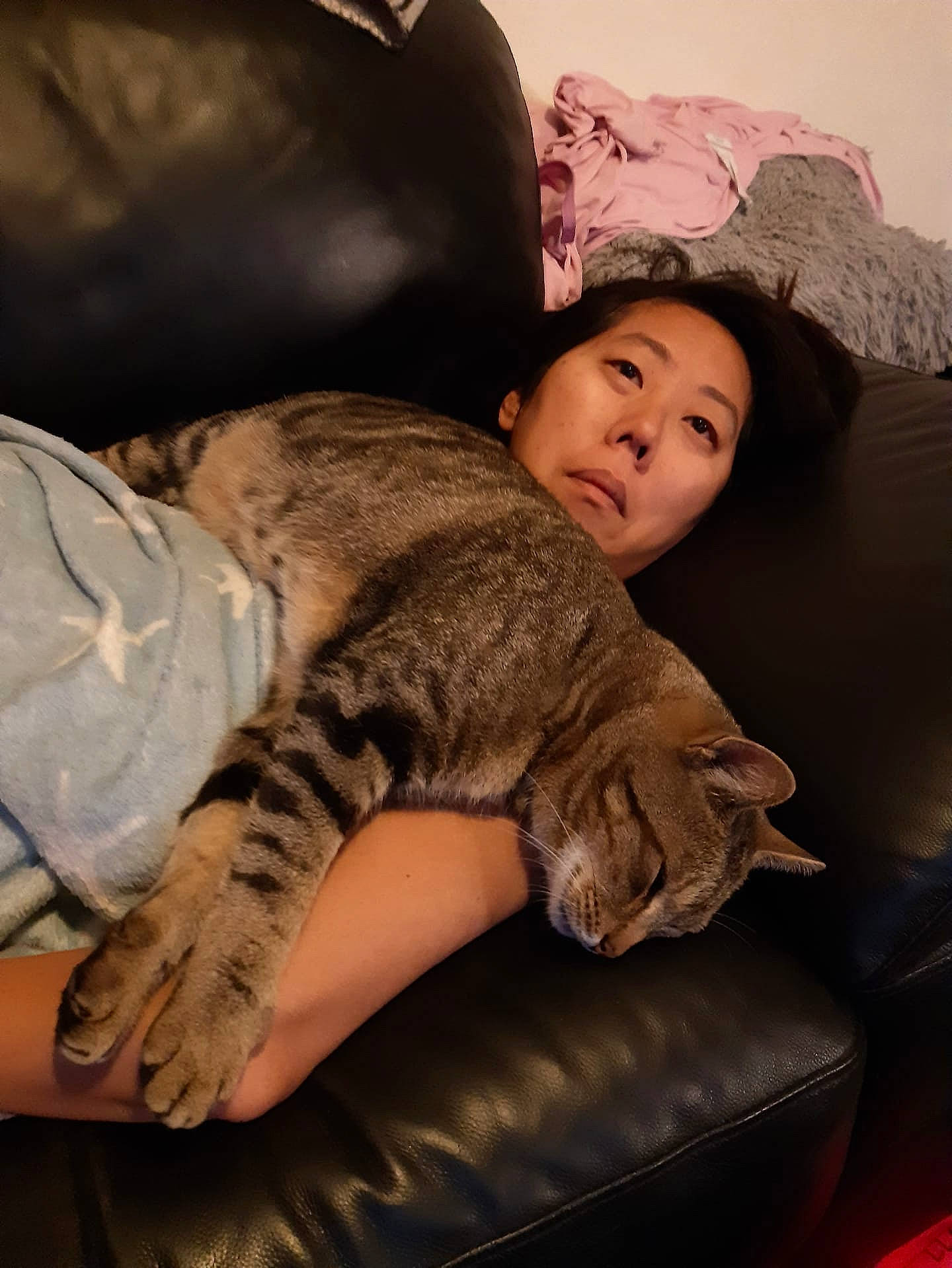 Alex participe au concours pour gagner de l'argent avec cette photo : carnivore, cat, comfort, couch, domestic_short_haired_cat, eye, felidae, flooring, fur, furniture, human_leg, lap, linens, living_room, room, sitting, small_to_medium_sized_cats, tail, thigh, whiskers