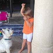 Cosmo is registered to the contest to win money with this photo: attention, barefoot, child, collar, curly_hair, dog, indoor, looking_up, orange_shirt, pet, pillar, pink_chair, playful, striped_rug, tiled_floor, toy, treat, white_dog, white_shorts, young_girl