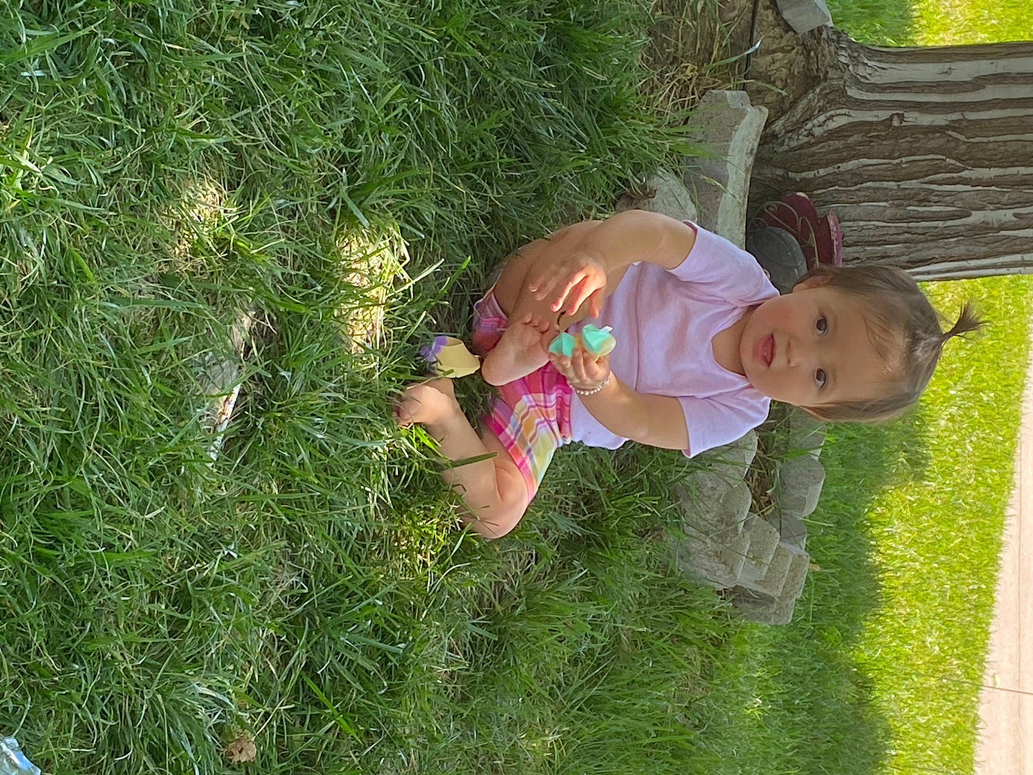 Mila is registered to the contest to win money with this photo: child, grass, grass_family, lawn, meadow, person, plant
