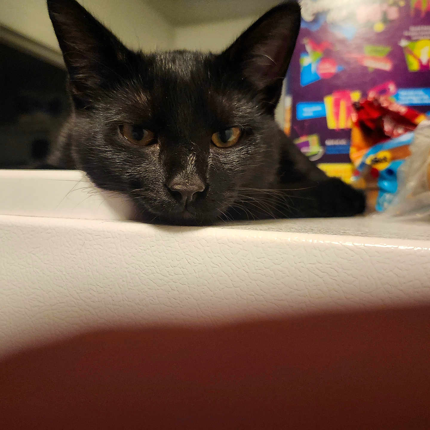 Jack