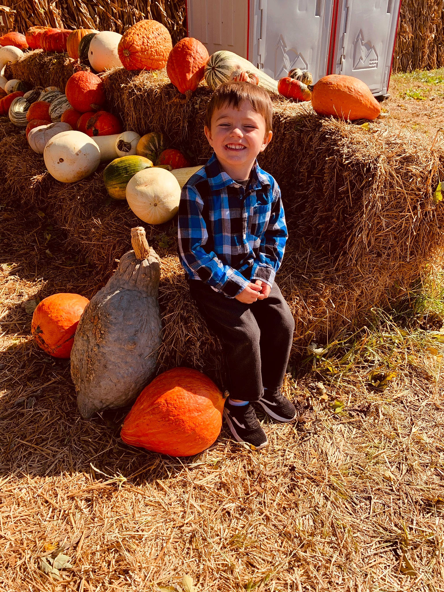 Kayden is registered to the contest to win money with this photo: adaptation, autumn, calabaza, child, cucurbita, gourd, joy, person, plant, pumpkin, smile, squash, toddler, vegetable, winter_squash