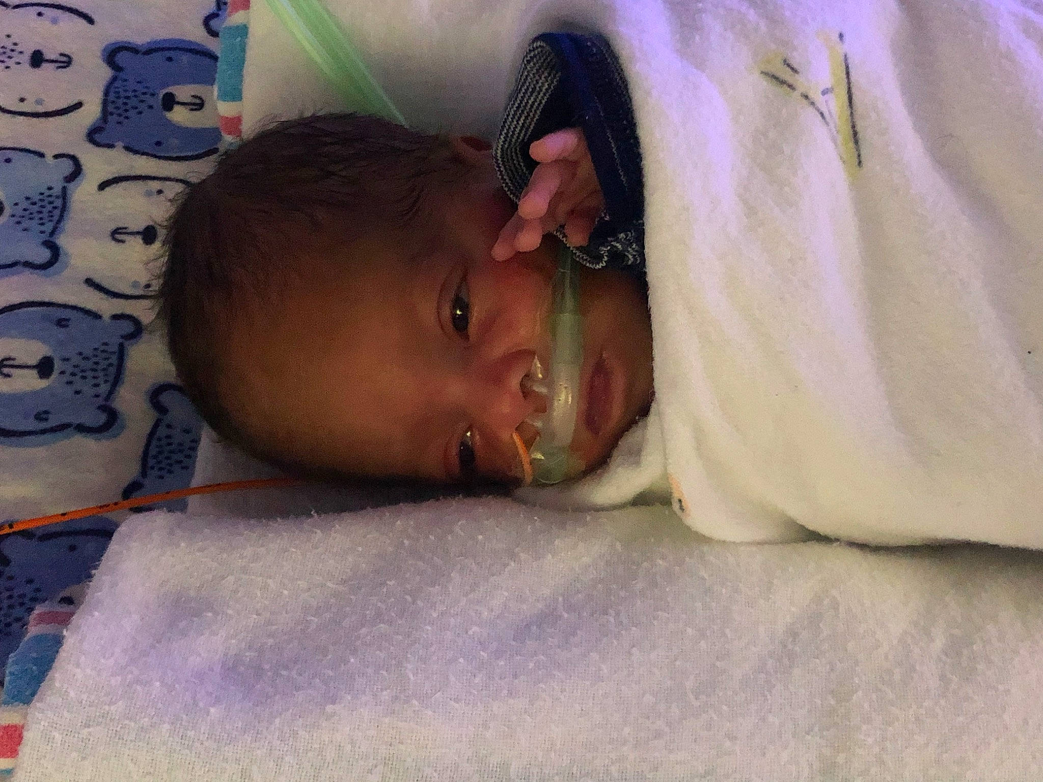 Jadiel joined the competition — help win amazing prizes! baby, bedtime, cheek, child, eye, nap, nose, person, skin, sleep, toddler