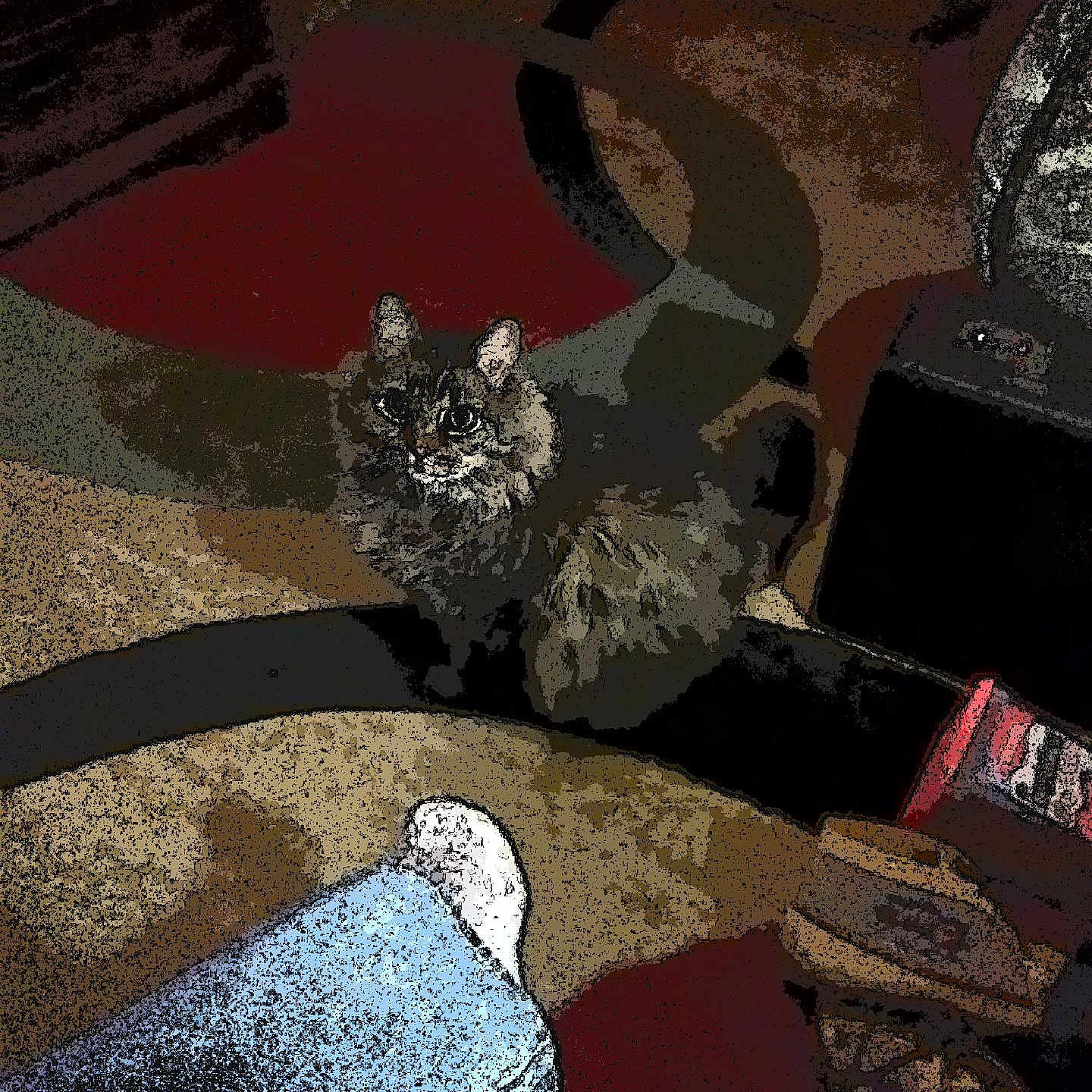 Kiki joined the competition — help win amazing prizes! animal, architecture, art, building, canine, cat, chinchilla, couch, furniture, head, homedecor, indoors, livingroom, painting, panther, person, pet, rodent, room, tiger