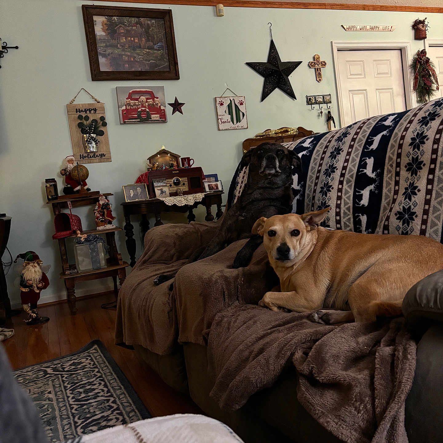Zoey