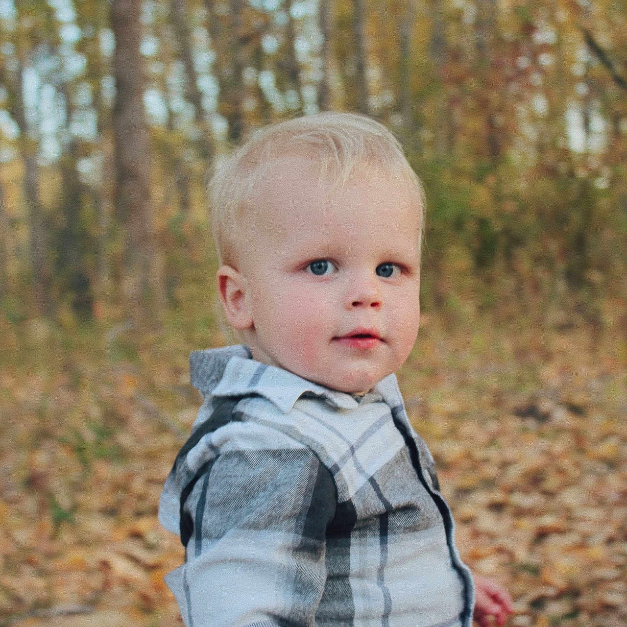 Zaxxton joined the competition — help win amazing prizes! baby, blonde, clothing, face, grass, hair, head, jeans, land, nature, outdoors, pants, person, photography, plant, portrait, shirt, tree, vegetation, woodland