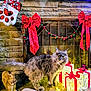 cat, fireplace, gift_box, red_bow, holiday_decor, squirrel_statue, cat_statue, stone_wall, festive_lights, mantel, decorations, glowing_lights, animal_figurines, indoor, pet, christmas, holiday, cozy, furry, ornaments