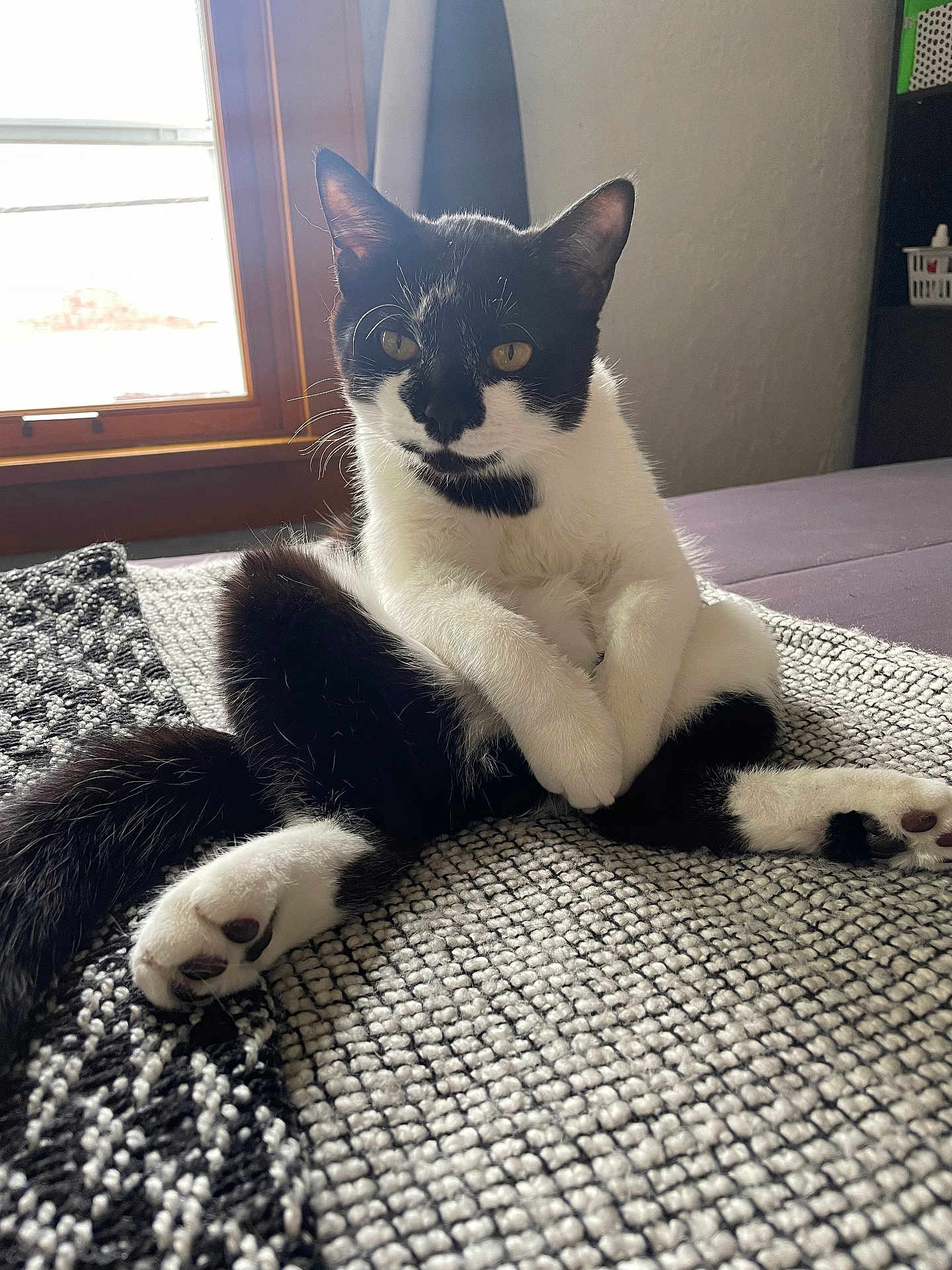 Niko