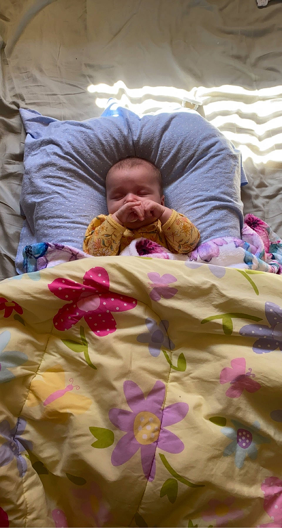 Primrose is registered to the contest to win money with this photo: baby, beauty, bed, bed_sheet, bedding, bedtime, child, comfort, eye, fun, head, linens, magenta, mammal, person, pink, product, purple, textile, toddler