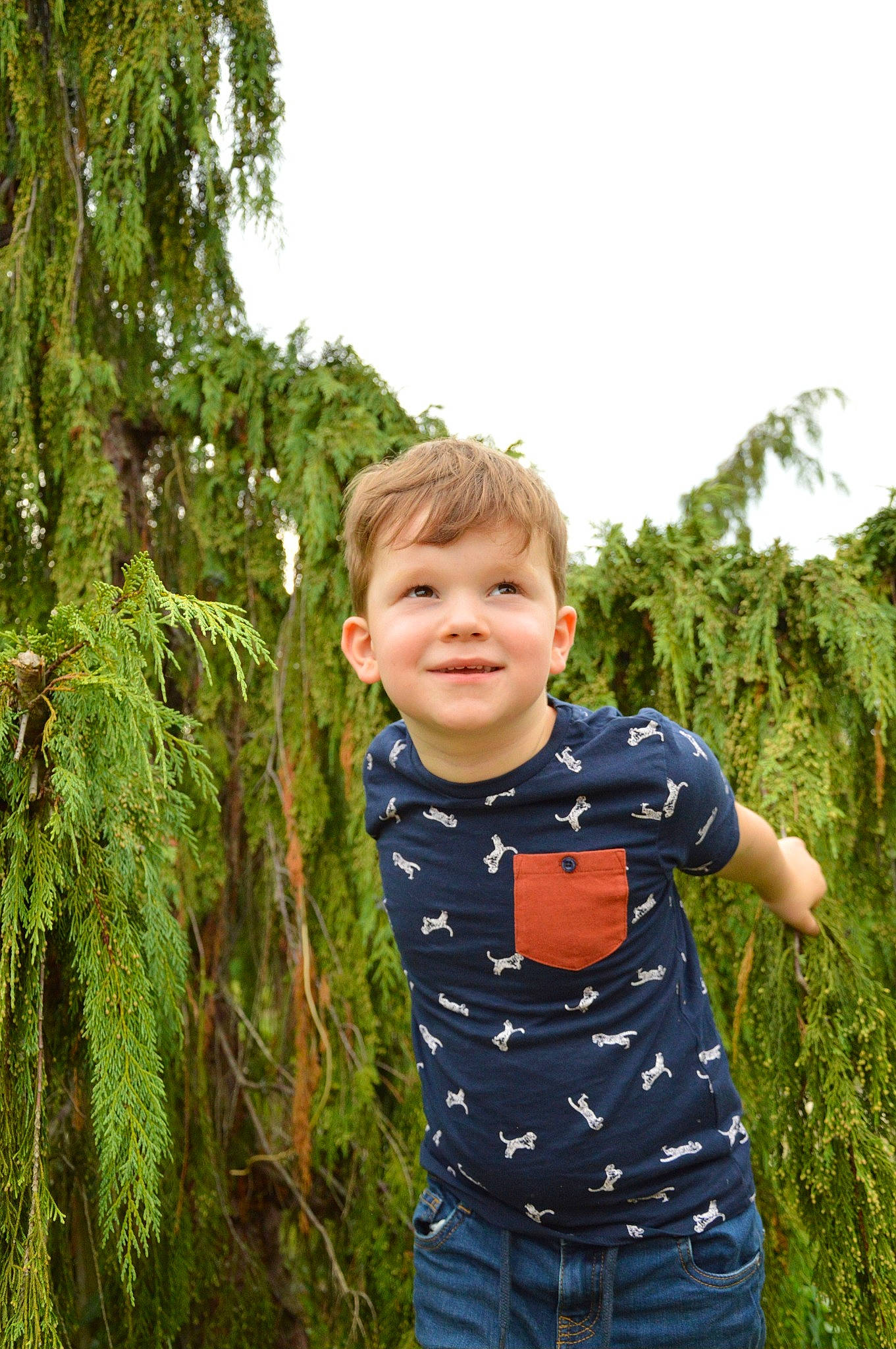 Lowen participe au concours pour gagner de l'argent avec cette photo : denim, electric_blue, fun, grass, grass_family, happy, joy, leaf, leisure, pattern, people_in_nature, person, plant, shrub, sky, sleeve, smile, t_shirt, terrestrial_plant, toddler