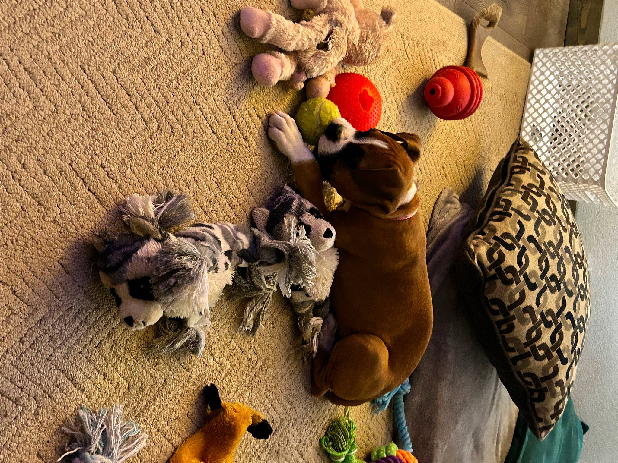Dolly joined the competition — help win amazing prizes! art, carmine, collection, fawn, flooring, landscape, linens, plant, plush, room, shadow, soil, still_life, still_life_photography, stuffed_toy, tail, toy, visual_arts, wood