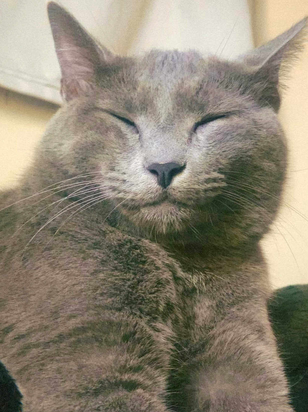 Clarence