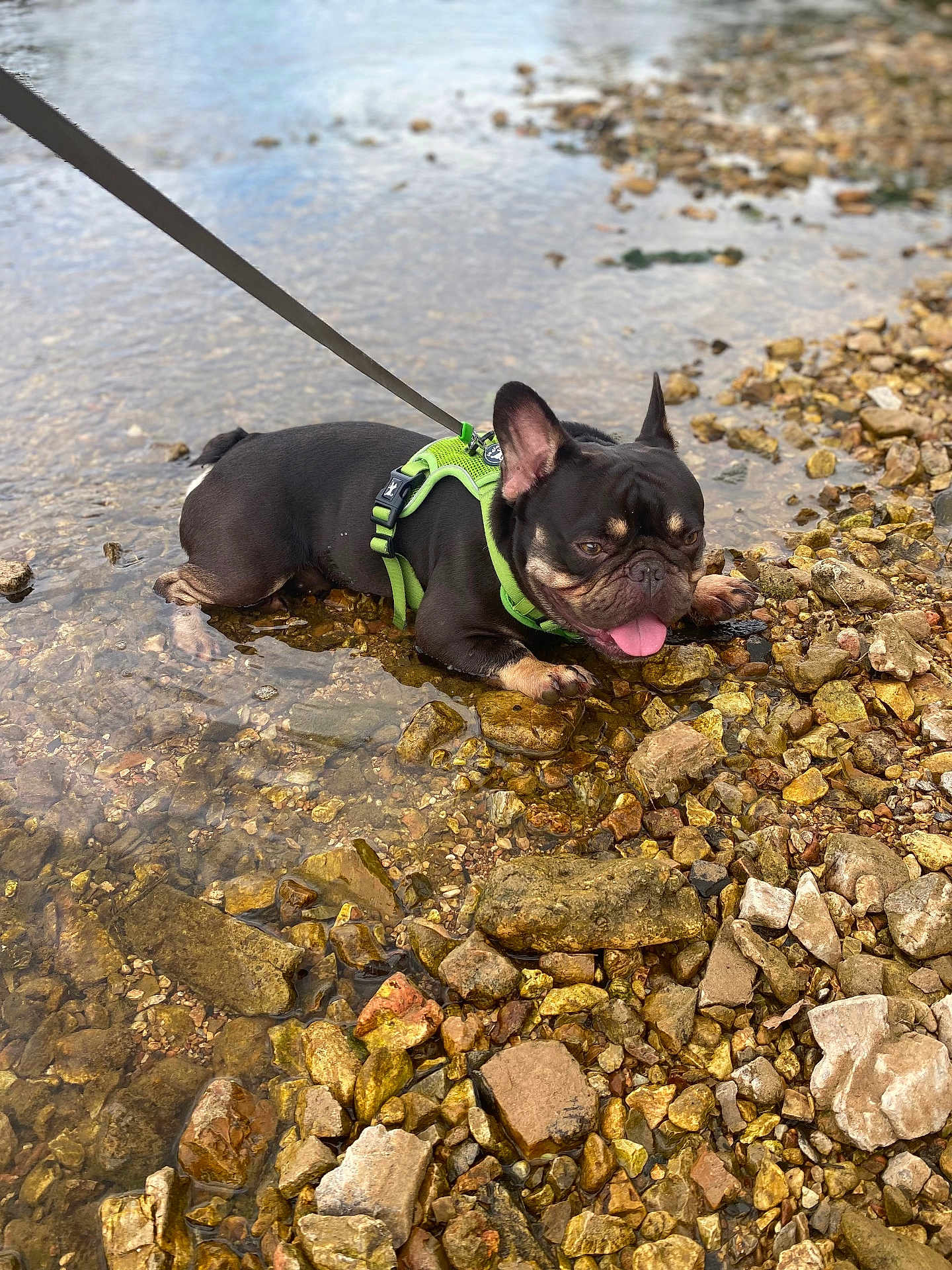 Max