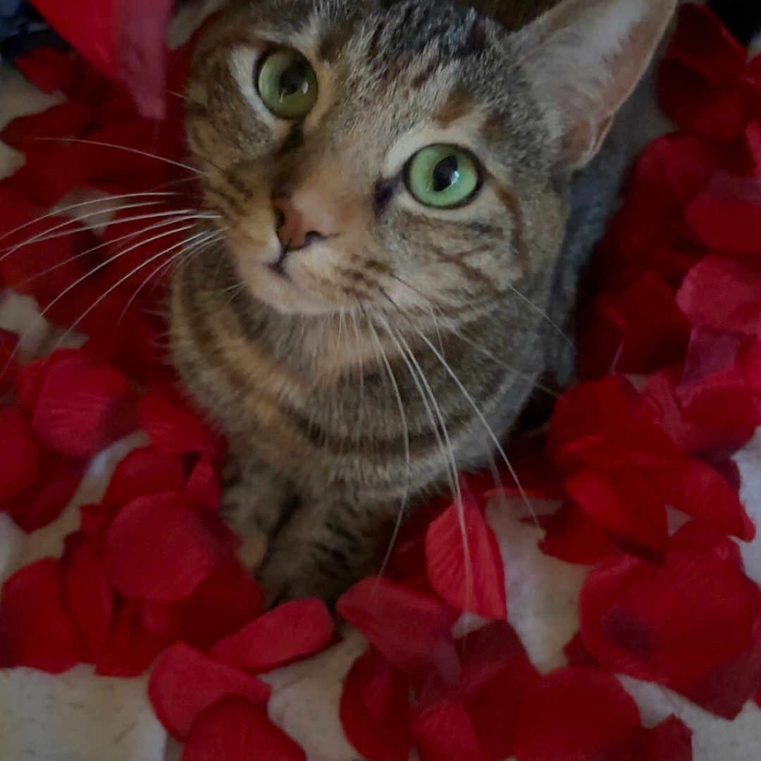 Zoe