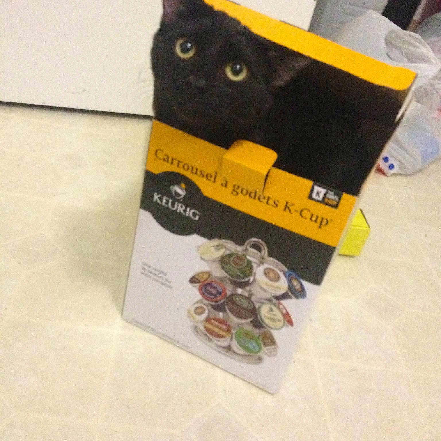 Batman is registered to the contest to win money with this photo: