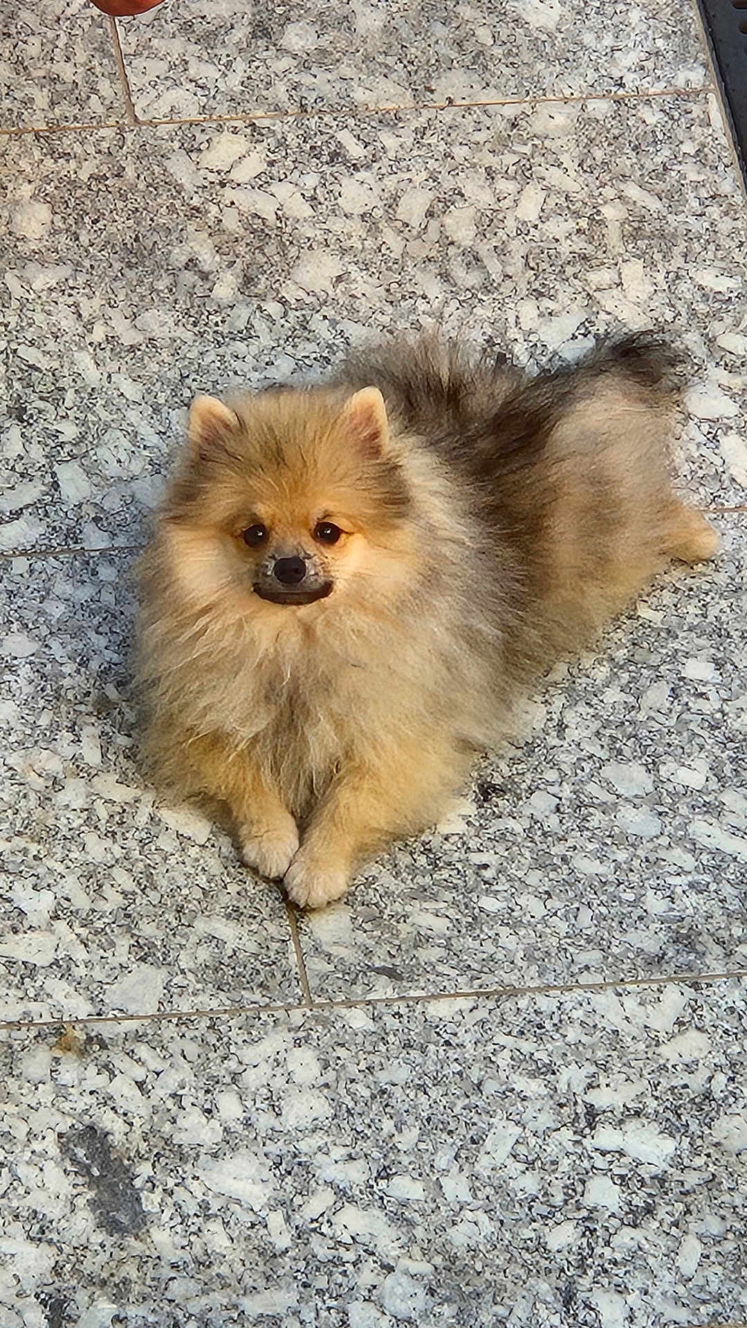 Axel