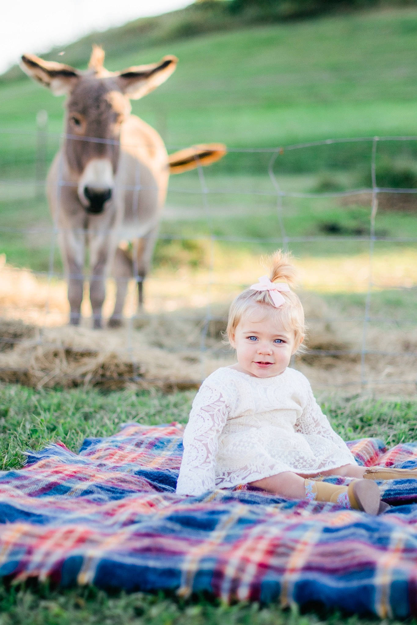 Hunter joined the competition — help win amazing prizes! baby, child, fawn, fun, goat, goats, grass, happy, meadow, pasture, person, photograph, photography, plant, portrait_photography, recreation, summer, toddler, wildlife