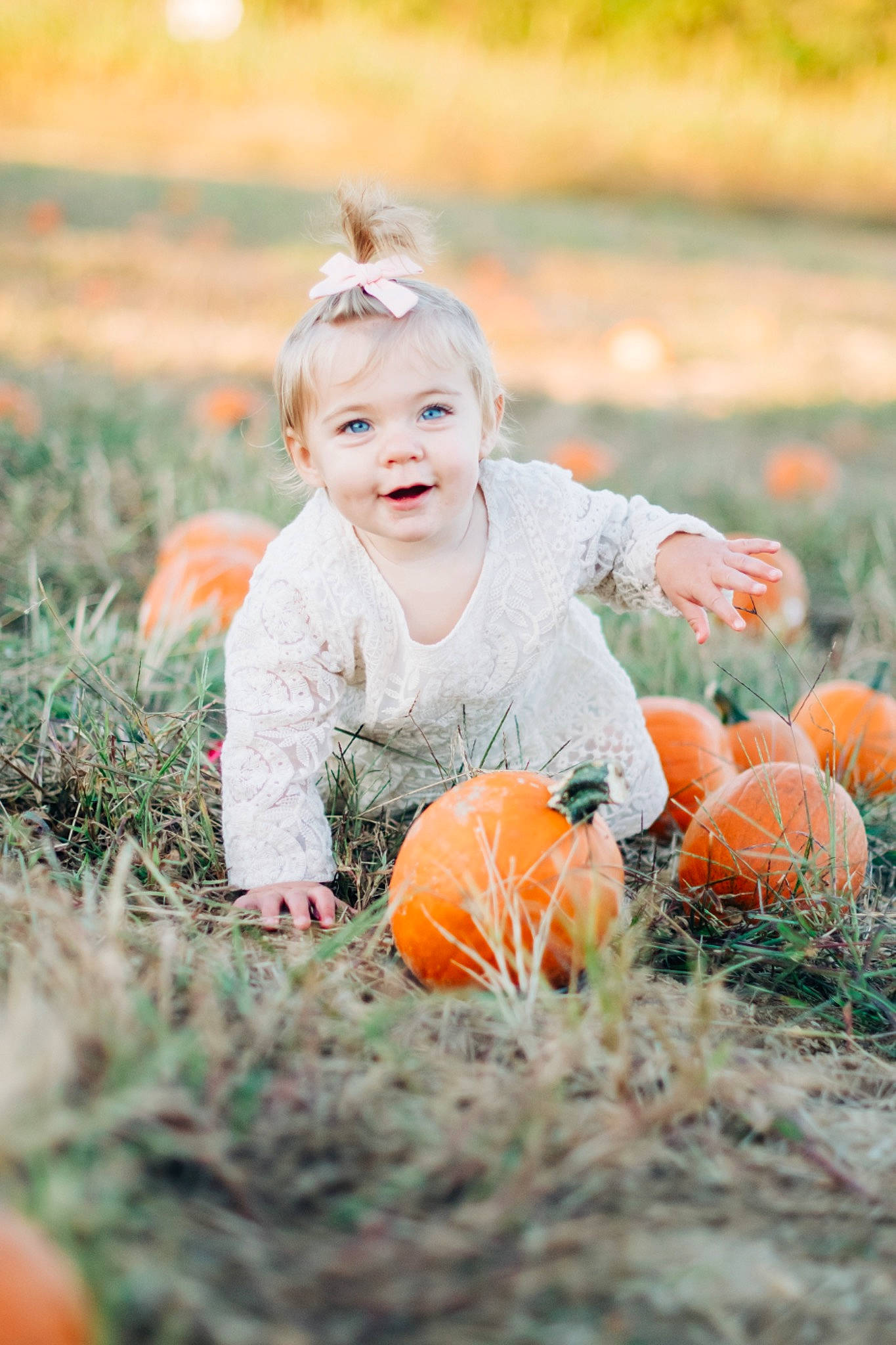 Hunter joined the competition — help win amazing prizes! autumn, baby, calabaza, child, cucurbita, fun, grass, happy, joy, orange, people, people_in_nature, person, photograph, photography, plant, portrait, portrait_photography, pumpkin, smile