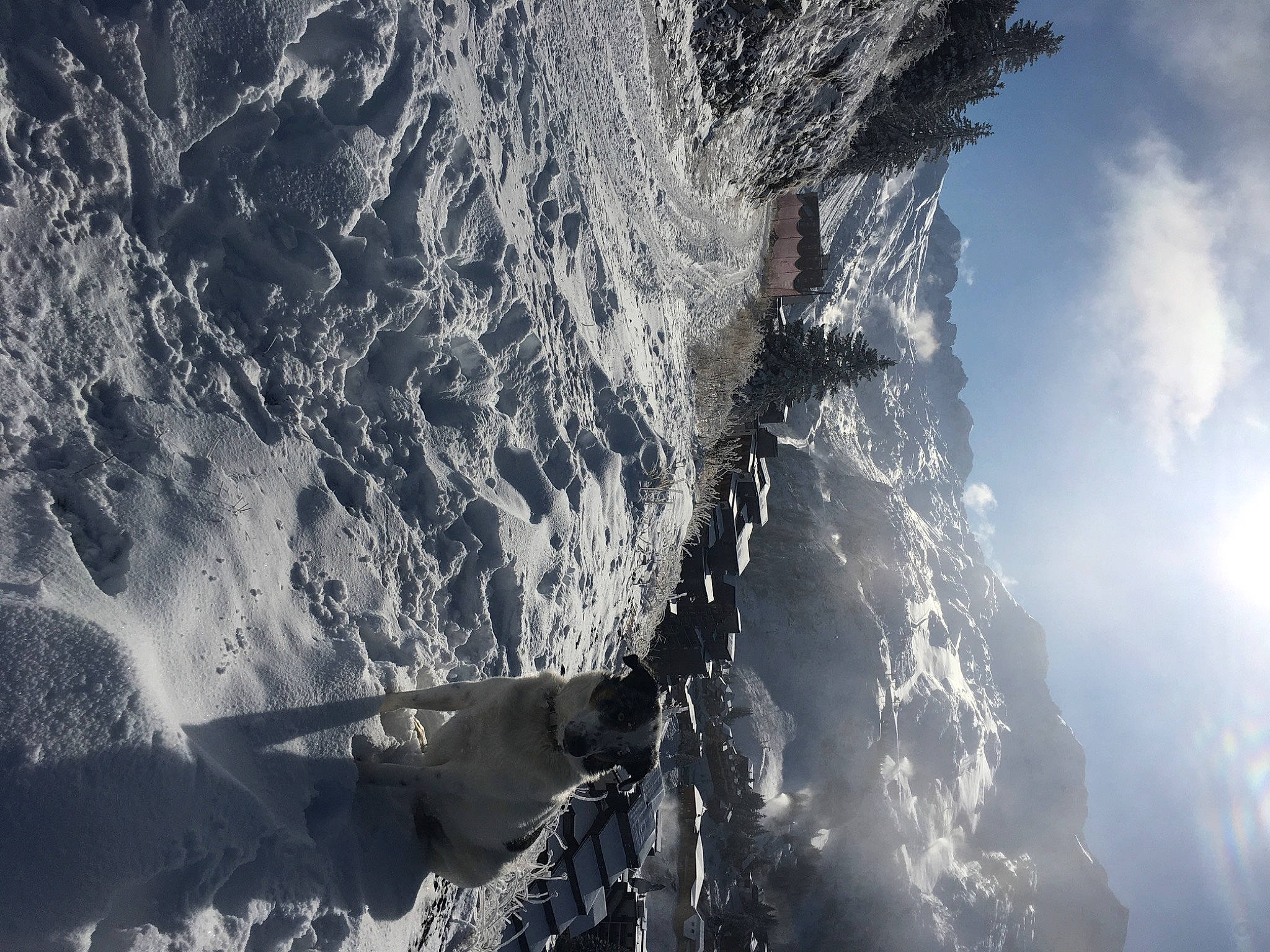 Roxy a rejoint le concours — aidez-le/la à gagner de superbes lots ! atmosphere, cloud, formation, freezing, frost, geology, glacial_landform, ice_cap, landscape, massif, mountain, mountain_range, sky, slope, snow, space, terrain, tree, water, world