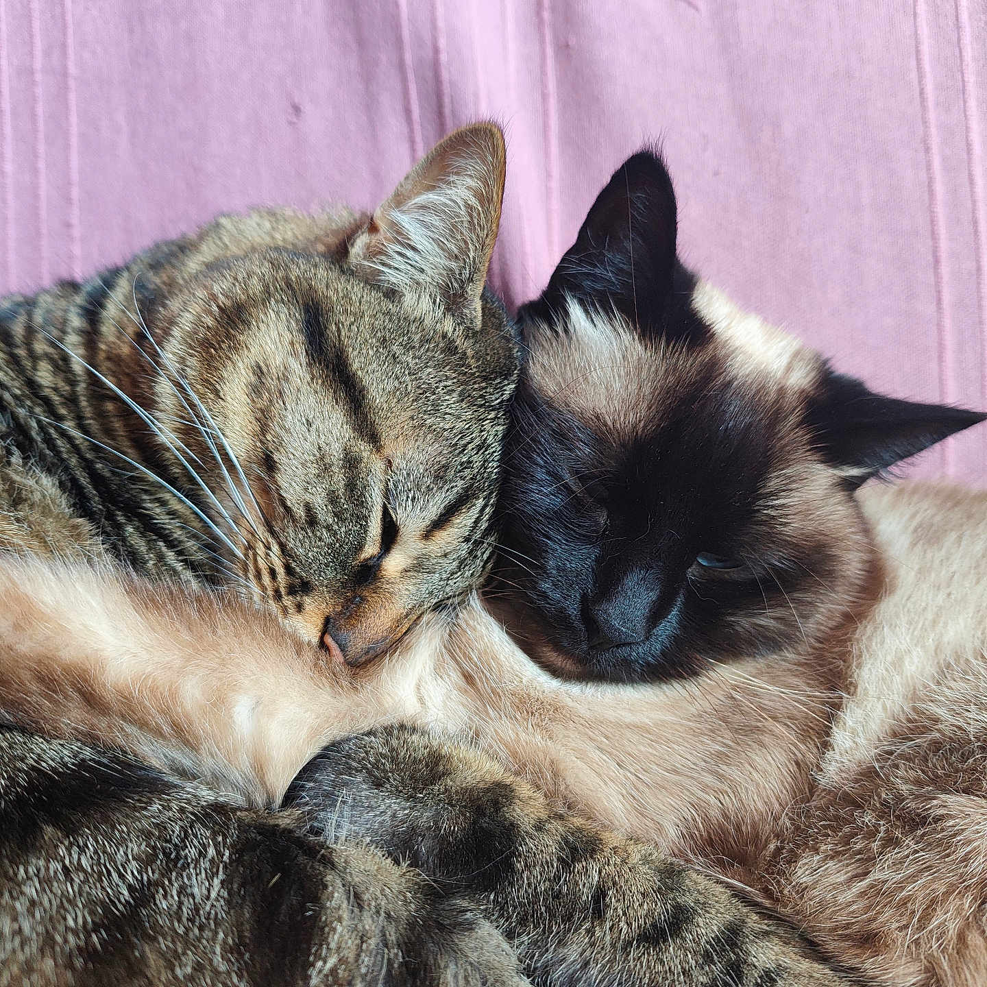 Kira Et Ruby