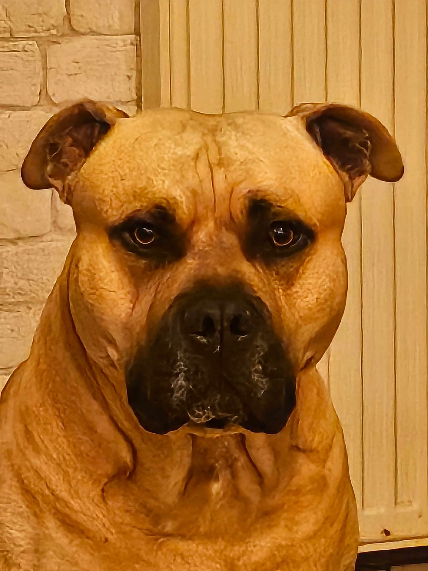 Paco