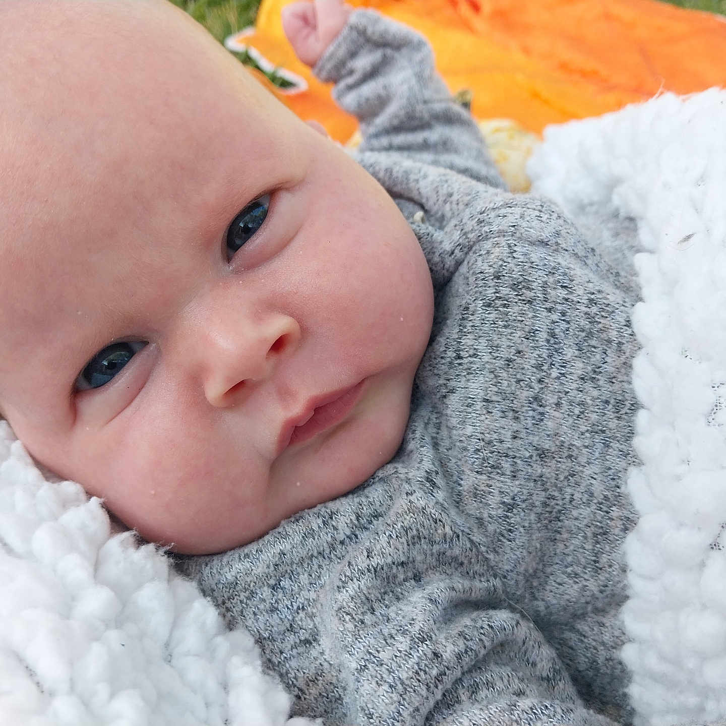 Theo is registered to the contest to win money with this photo: baby, blanket, bodypart, clothing, coat, face, finger, hand, hat, head, hoodie, jacket, knitwear, newborn, person, photography, portrait, quilt, sweater, sweatshirt