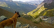 Aska participe au concours pour gagner de l'argent avec cette photo :