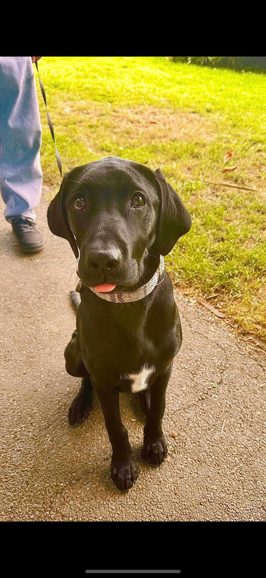 Nala