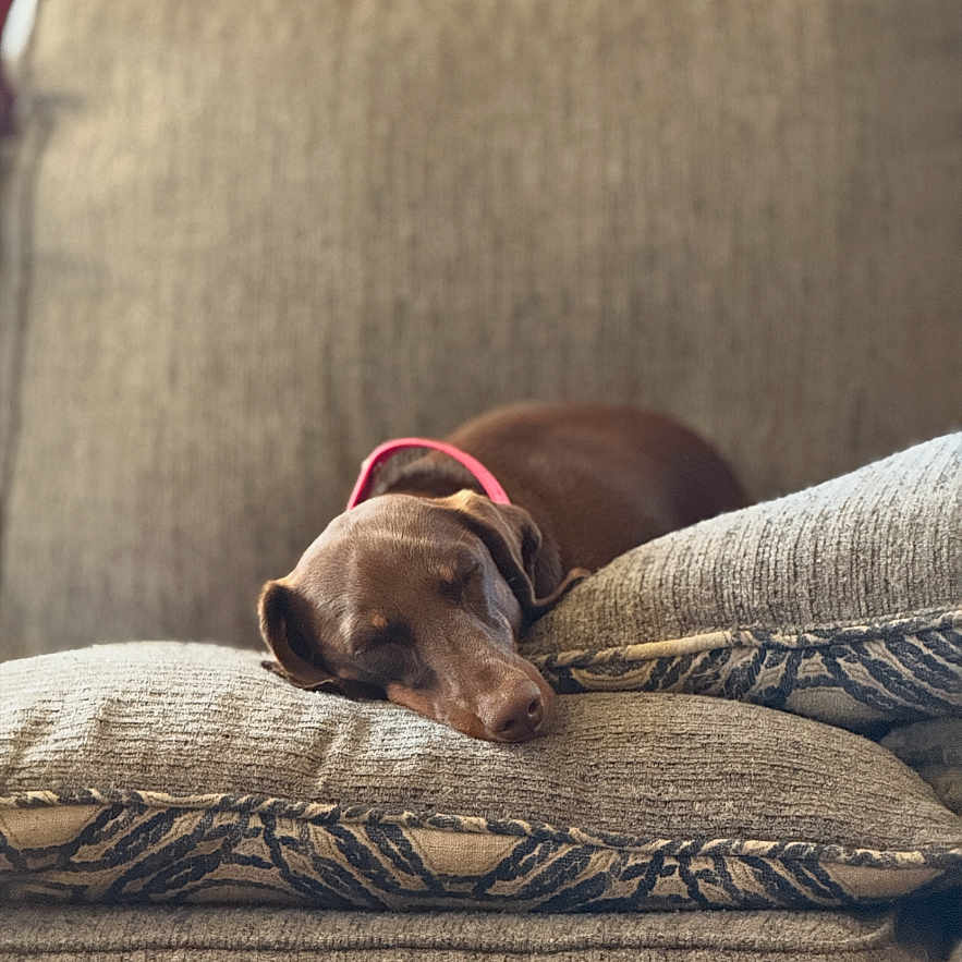 Rosie