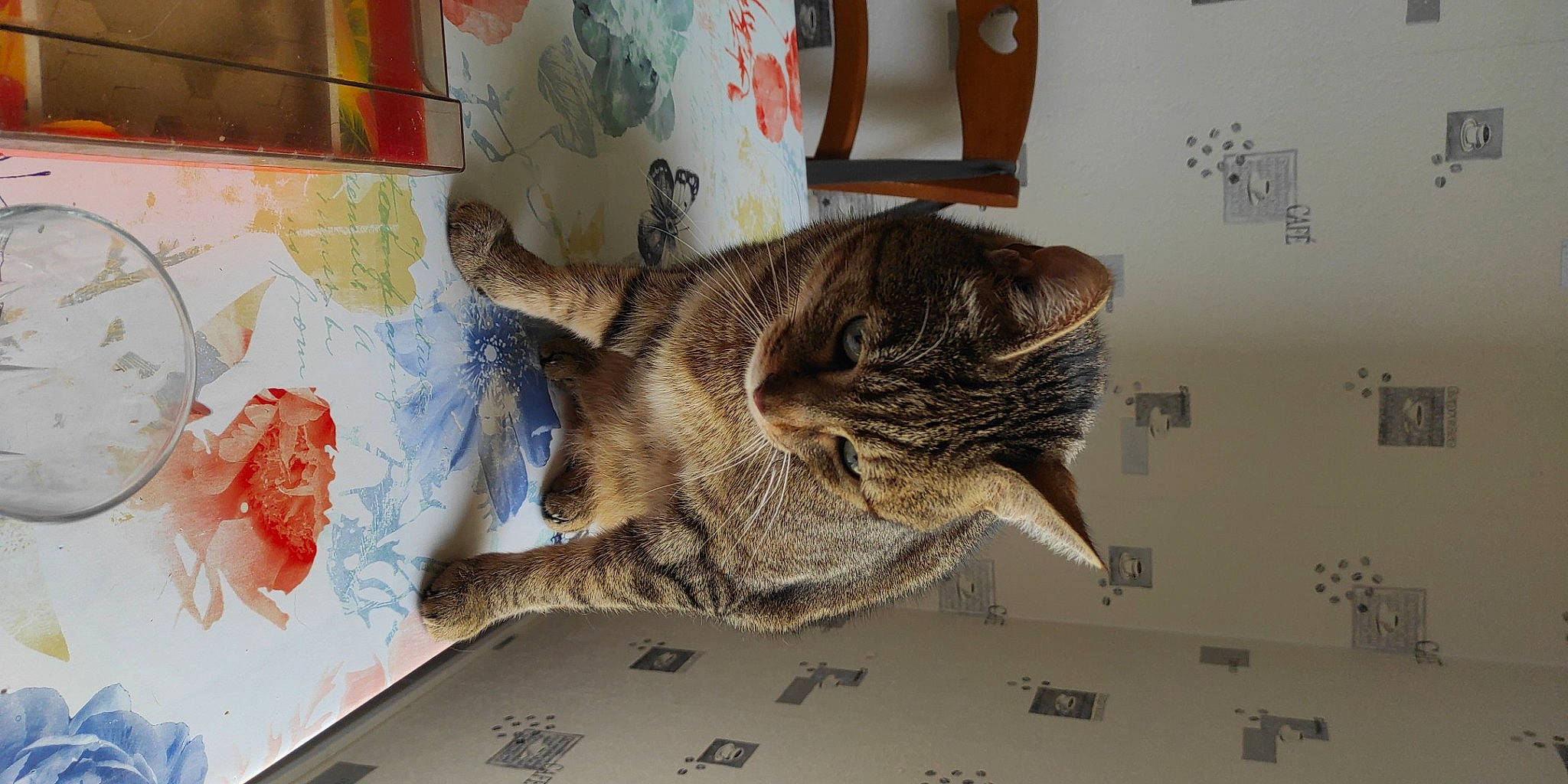 Boubou participe au concours pour gagner de l'argent avec cette photo : art, carnivore, cat, comfort, domestic_short_haired_cat, felidae, fur, linens, paper, paper_product, pattern, room, small_to_medium_sized_cats, tail, visual_arts, whiskers