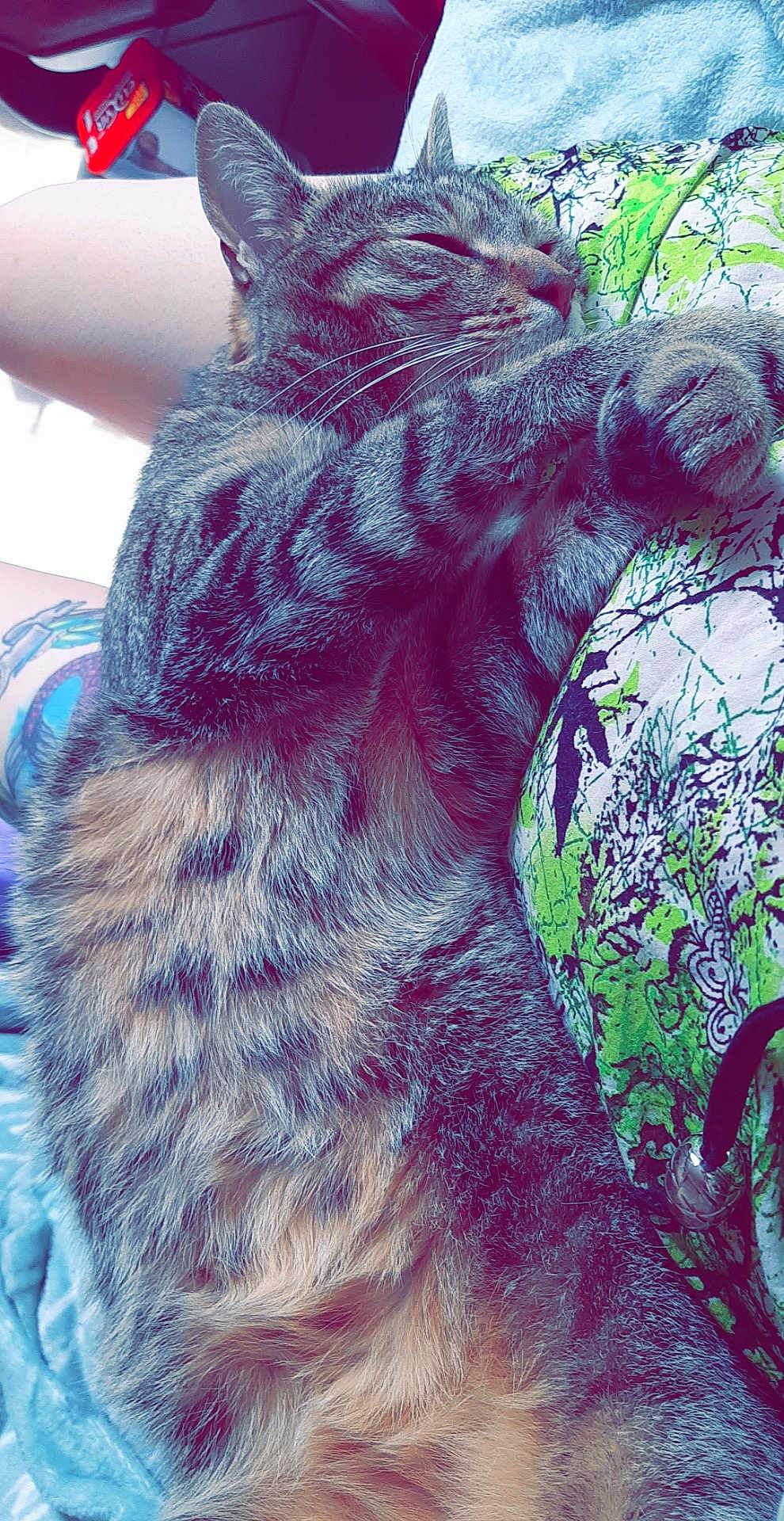 Boubou