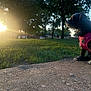 dog, black_dog, pink_harness, sunset, park, trees, grass, concrete, outdoor, pet, animal, nature, sunlight, evening, side_view, canine, peaceful, serene, grass_field, daylight