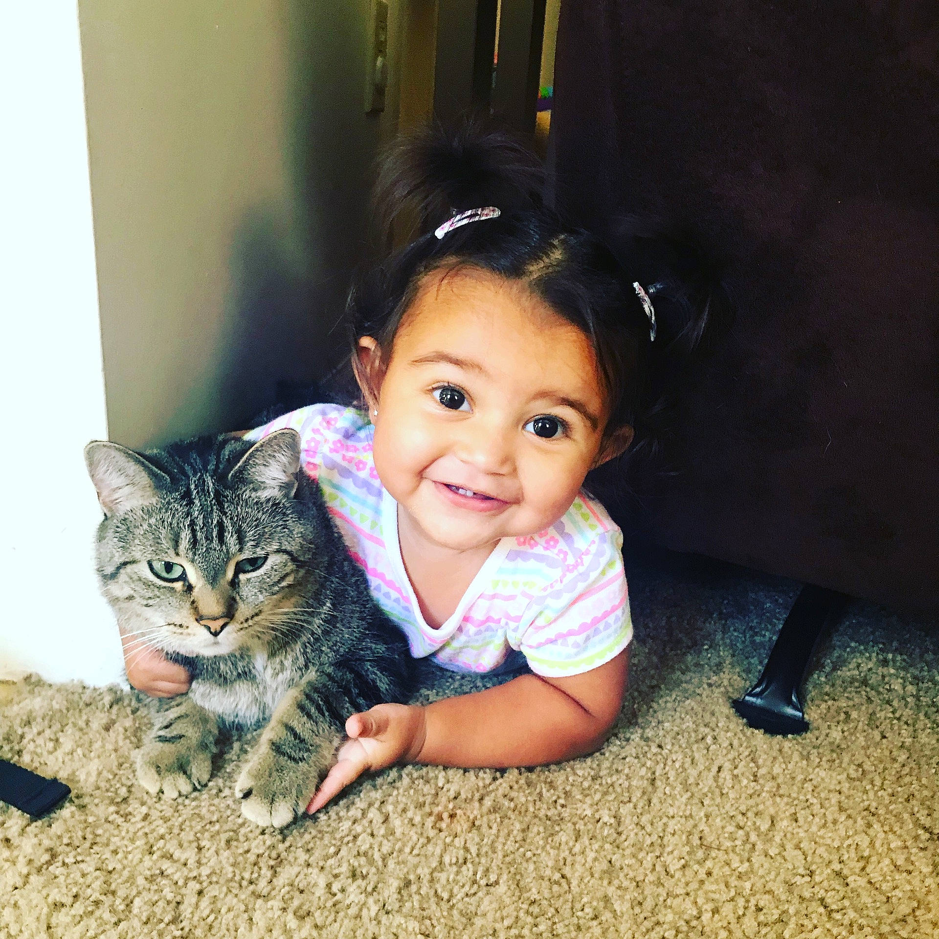 Stella is registered to the contest to win money with this photo: carnivoran, cat, cat_like_mammal, child, eye, girl, infant, iris, joy, kitten, mammal, organ, person, play, sitting, skin, small_to_medium_sized_cats, smile, snapshot, toddler