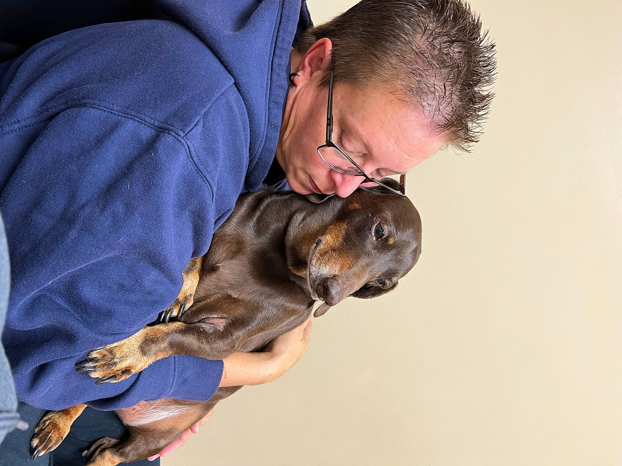 Brownee is registered to the contest to win money with this photo: canidae, carnivore, collar, comfort, companion_dog, dog, dog_breed, ear, elbow, fawn, fur, gesture, glasses, guard_dog, hunting_dog, liver, snout, sporting_group, working_animal, working_dog