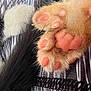 kitten, paw, nose, fur, pink_pads, close_up, sleeping, soft, texture, striped_fabric, animal, pet, cute, whiskers, black_fur, white_fur, resting, feline, tiny, delicate