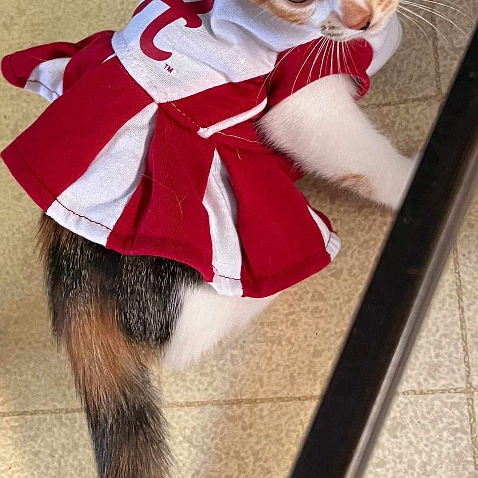 Leiroy