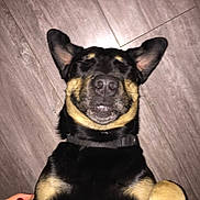 Bergamote participe au concours pour gagner de l'argent avec cette photo :