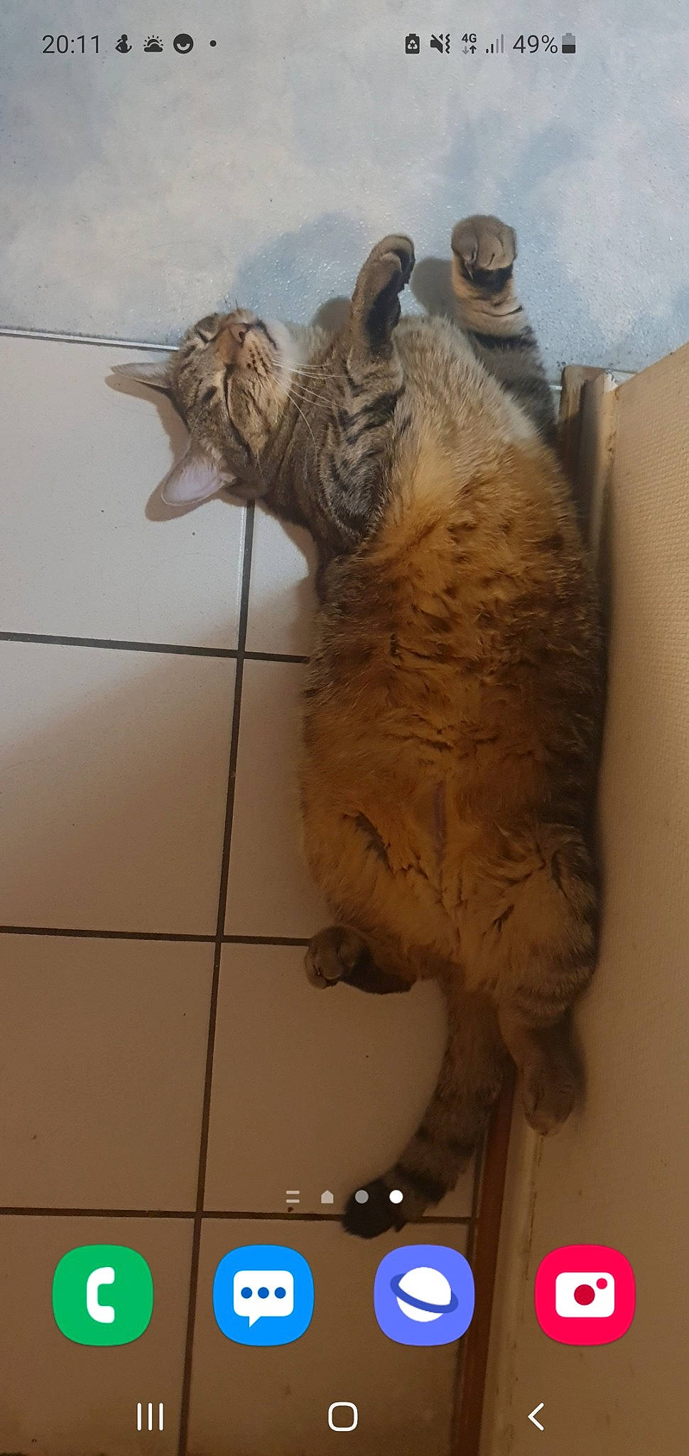 Happy participe au concours pour gagner de l'argent avec cette photo : art, artifact, carnivore, carving, cat, creative_arts, eye, felidae, flooring, fur, metal, natural_material, sculpture, small_to_medium_sized_cats, snout, tail, terrestrial_animal, tile_flooring, whiskers, wood