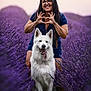 Shadow a rejoint le concours — aidez-le/la à gagner de superbes lots ! animal, canine, dog, flowers, glasses, happy, heart_hands, kneeling, lavender_field, long_hair, nature, outdoor, pet, portrait, purple, scenic, smiling, summer, white_dog, woman