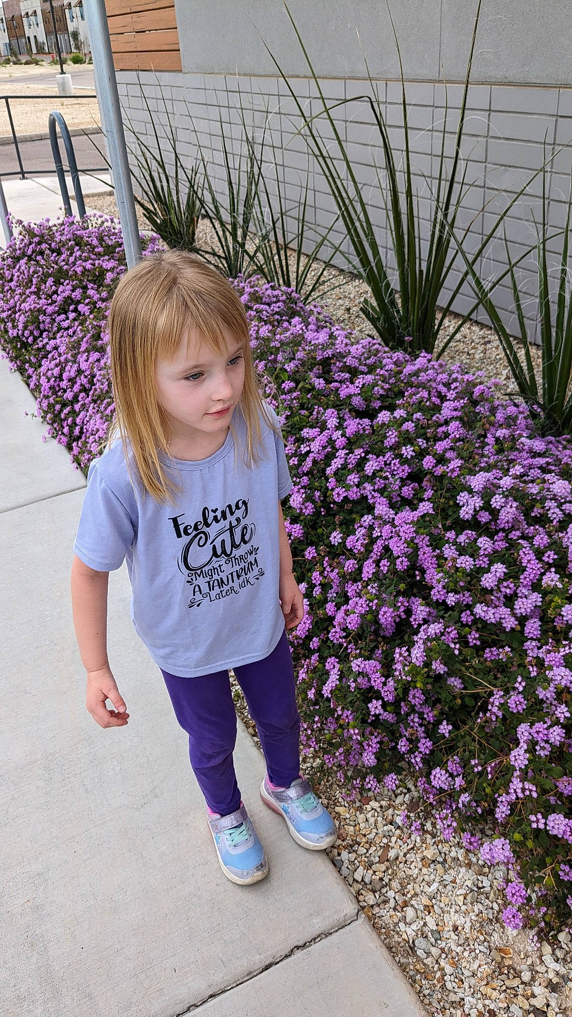 Kenzie is registered to the contest to win money with this photo: annual_plant, baby_toddler_clothing, botany, electric_blue, face, flower, flowering_plant, garden, grass, groundcover, happy, magenta, people_in_nature, person, plant, purple, shrub, sleeve, t_shirt, toddler