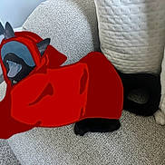 Nicolas Bourbaki joined the competition — help win amazing prizes! animal, black_cat, carpet, cat, costume, couch, cozy, cushion, digital_art, fabric, feline, hoodie, indoor, pet, playful, power_outlet, relaxing, resting, textile, wall
