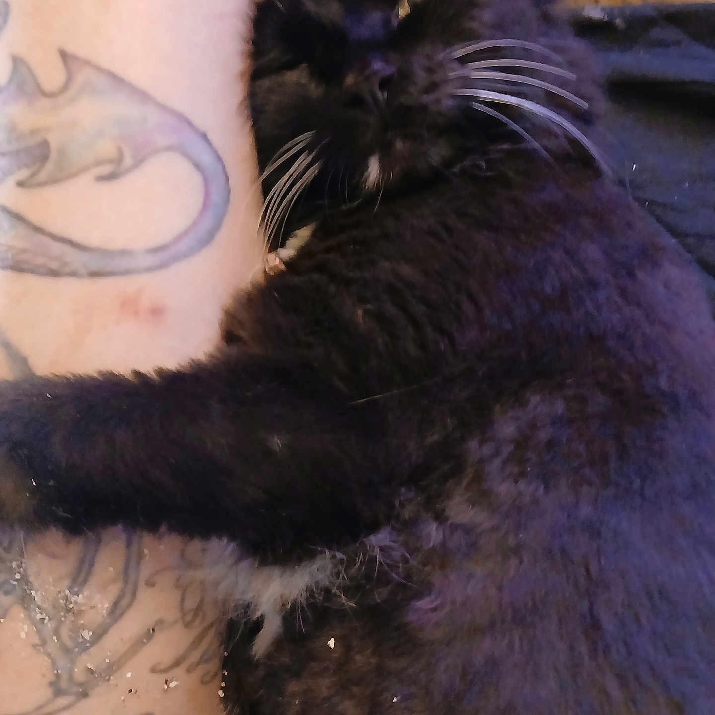 Little Baby