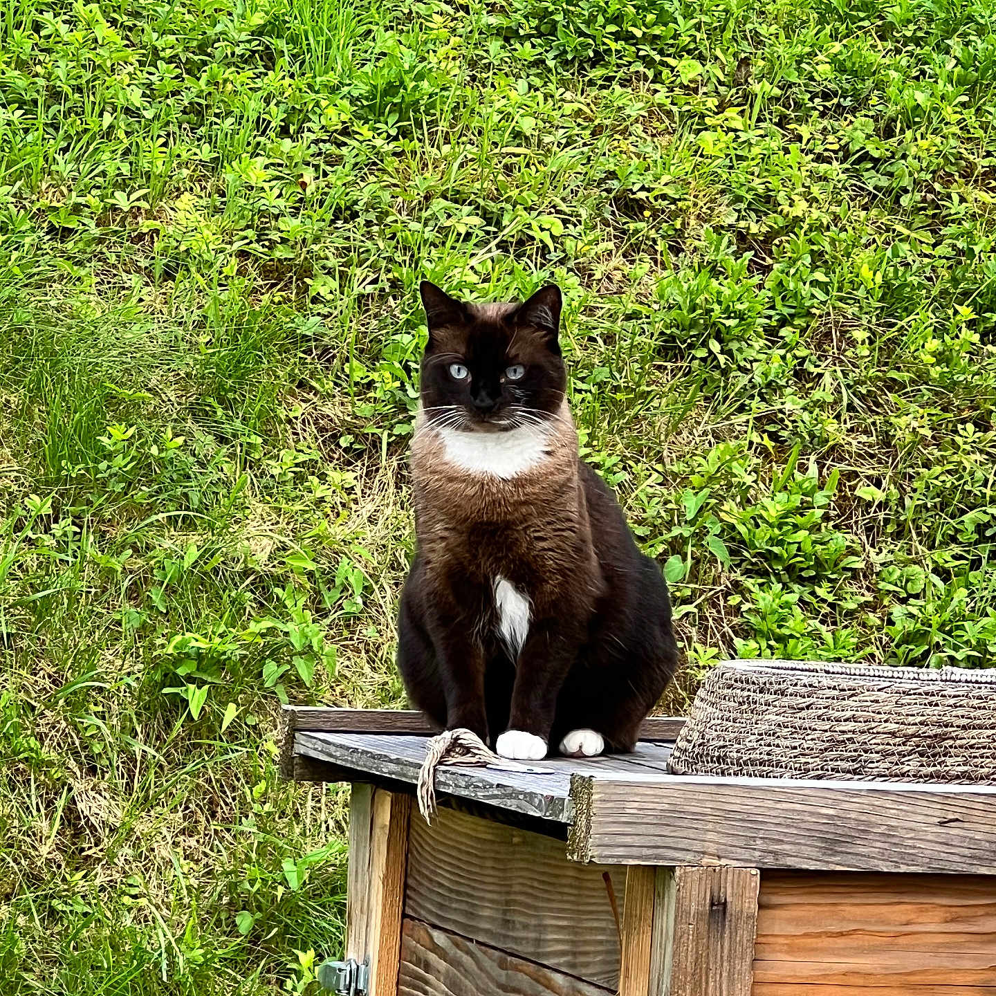 Fleure