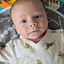 baby, infant, face, eyes, clothing, onesie, animal_print, lying_down, play_mat, colorful, soft, cute, child, portrait, skin, head, expression, newborn, person, indoors