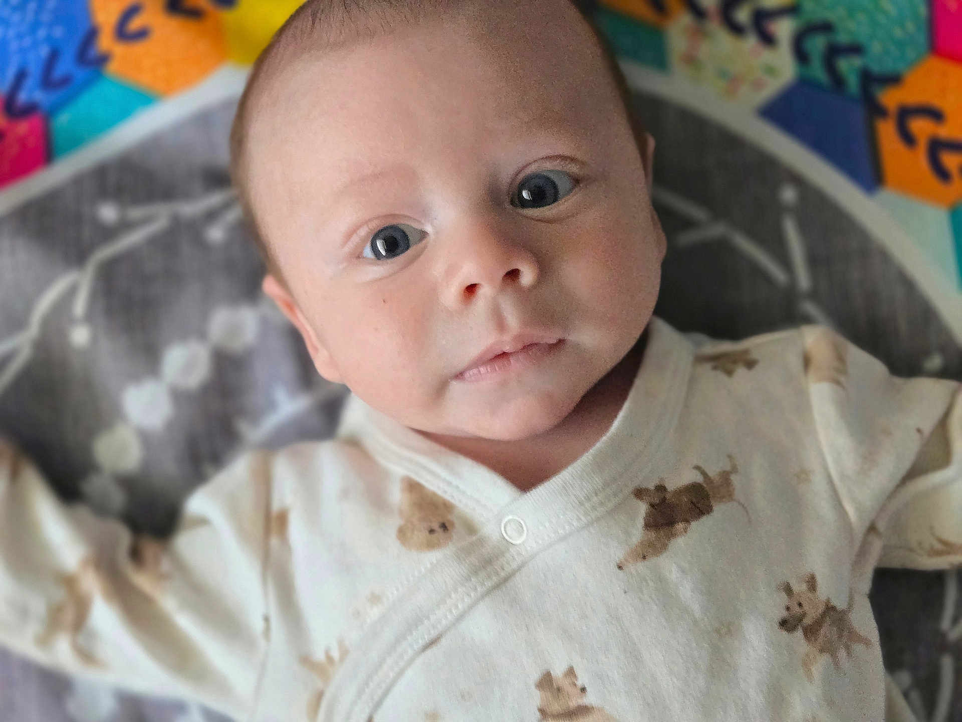 Orion is registered to the contest to win money with this photo: baby, infant, face, eyes, clothing, onesie, animal_print, lying_down, play_mat, colorful, soft, cute, child, portrait, skin, head, expression, newborn, person, indoors