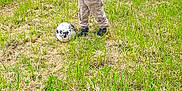 Noah a rejoint le concours — aidez-le/la à gagner de superbes lots ! child, soccer_ball, grass, outdoor, greenery, tree, jacket, pants, shoes, nature, field, standing, playing, casual, daylight, young, boy, sport, park, leisure
