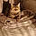 Minette