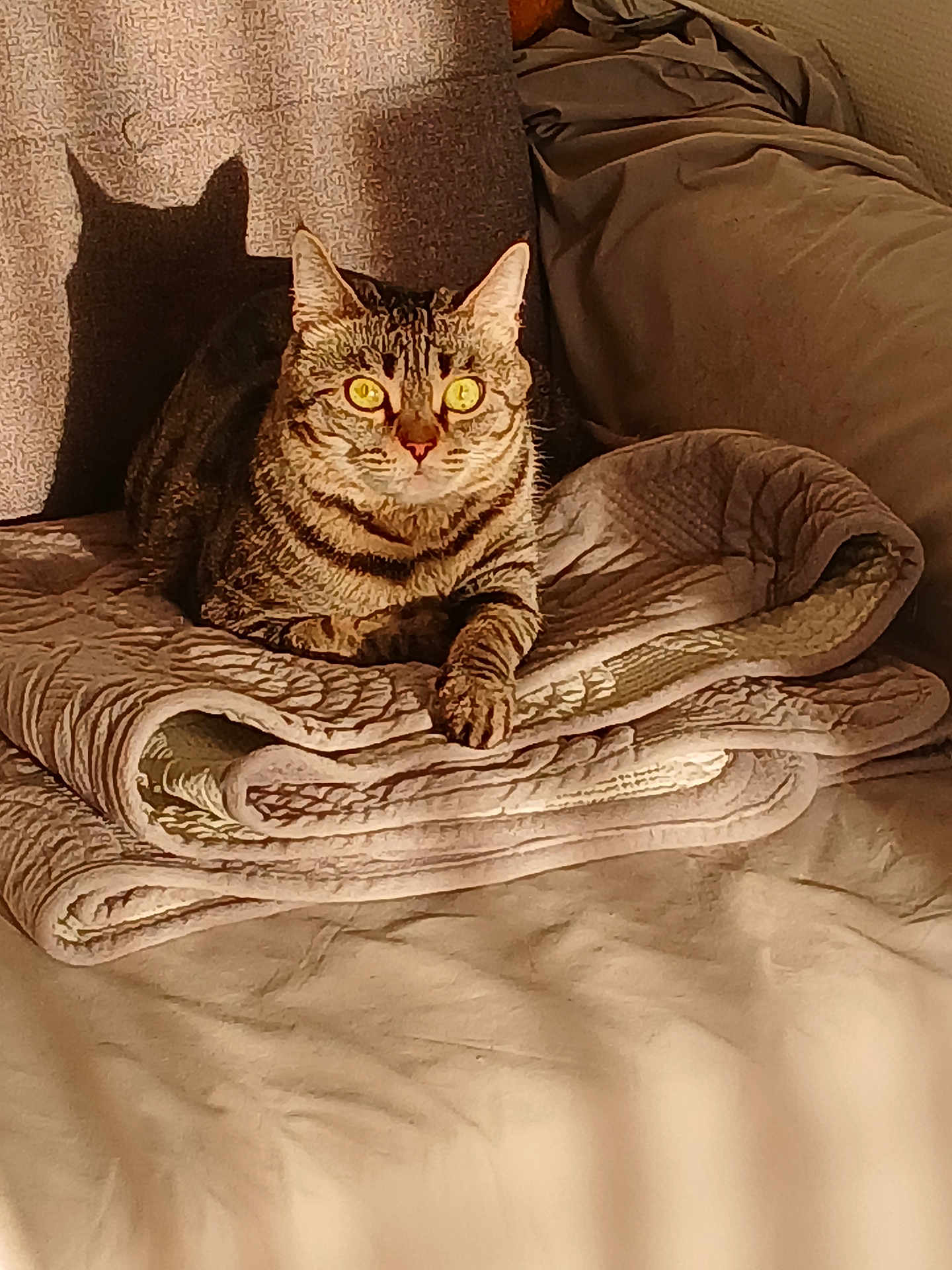 Minette